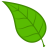 hello_leaf