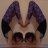 Josephinewwl