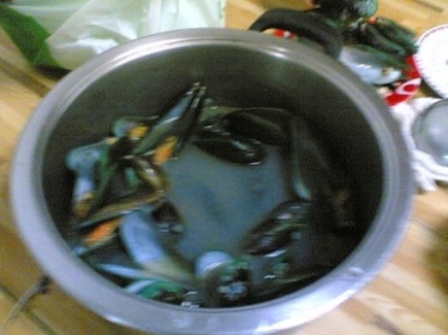 414048.jpg