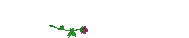 223155.gif