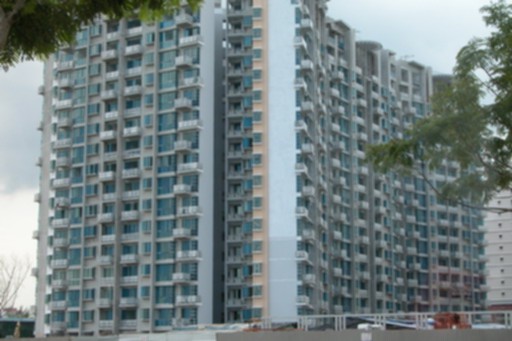 71964.jpg