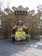 629250.jpg