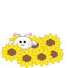 252662.gif