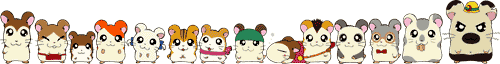 231962.gif
