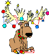 235117.gif