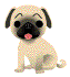 142333.gif