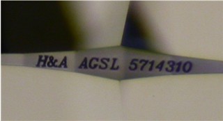344384.jpg