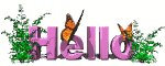 317859.gif