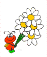 156944.gif