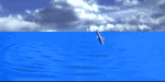 38948.gif