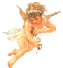 269309.gif