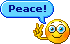 250511.gif