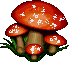 268630.gif
