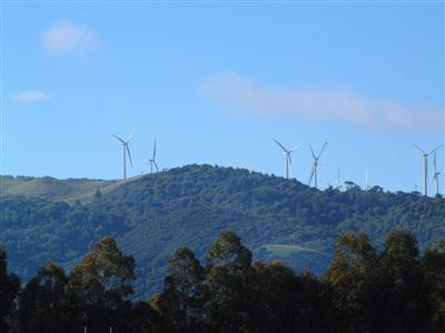363804.jpg