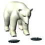 224933.gif