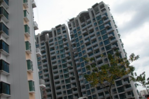 71962.jpg