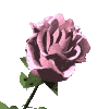 9524.gif