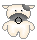 91605.gif