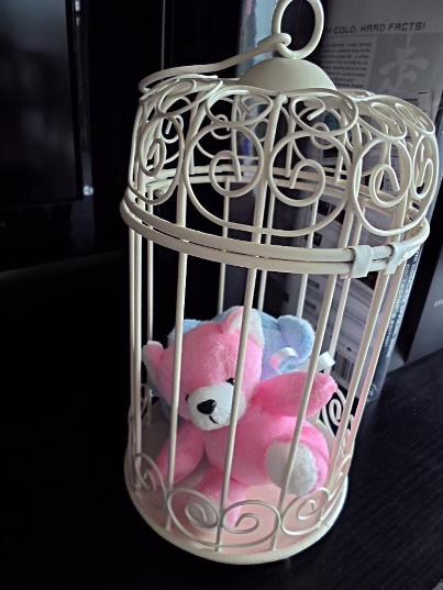 birdcage.jpg