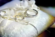 458860.jpg