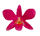 95886.gif