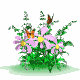 6791.gif