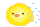 251315.gif