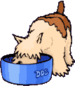 285726.gif