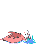 268617.gif