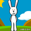 385375.gif
